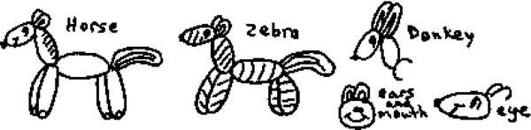 Horse Zebra Donkey